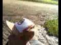 Jumping Off a Golf Cart