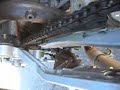 m620 chain