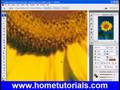 Photoshop Lesson 10 Color Replacement Dodge Tool