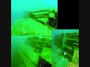 videos de THIS VIDEO MAY SCARE YOUR GUTS OUT!!