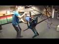 ECD Leg: Electric Cable Differential Leg