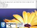 El potencial de Nepomuk