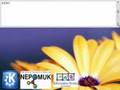First Steps With NEPOMUK (KDE Commit-Digest Issue 88)