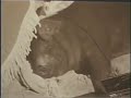 \"Pigs\" Retro ad from Keep America Beautiful