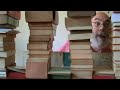 El caminant i el mur de llibres El caminant i el mur de llibres