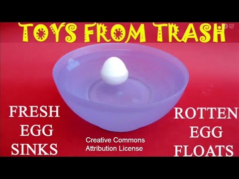 how to test egg float or sink