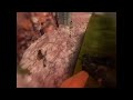 Click here to watch this video WallBang 2hs with awp @ CS 1.6