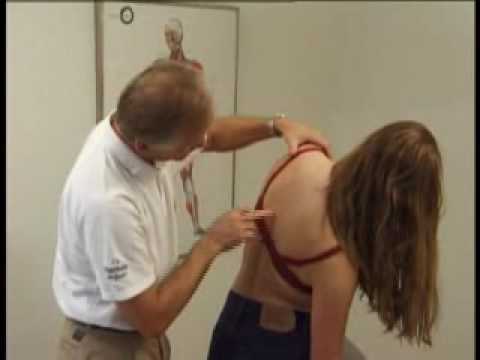 Chiropractic