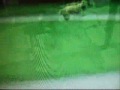 funny-stuff.html