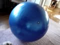 Bengal Exercise Video