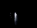 enri al rall del carnevale.mp4 enri al rall del carnevale.mp4