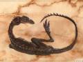 Tribute to Elaphrosaurus.