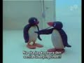 pingu siciliano by niko b.
