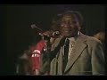Muddy Waters w/ Rolling Stones - Champagne and Reefer