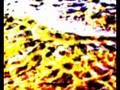 videos de Ahimsa
