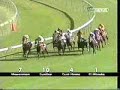 All Aged Stakes 02- Sunline All Aged Stakes 02- Sunline