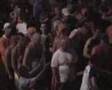 Euro 2008 - Holland vs Russia - FIGHT