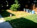 RIP Buffy Tejada 5/10/03 - 2/9/12