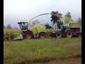 claas jaguar 980 e fendt 926 vario