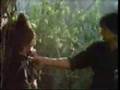 Hétores - The Stallone