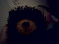 Webkinz in order of how I got them