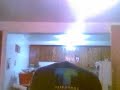 rubber bow bow