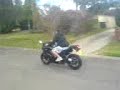 ninja 2008 250 with yoshi pipe