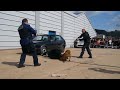 démo chien police 2 démo chien police 2