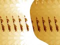 A taste of Bossa Nova