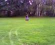 mini-QUAD