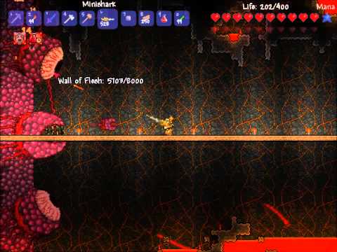 how to beat wall of flesh