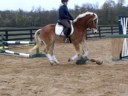 Au Contraire: Flatwork 3 Au Contraire: Flatwork 3