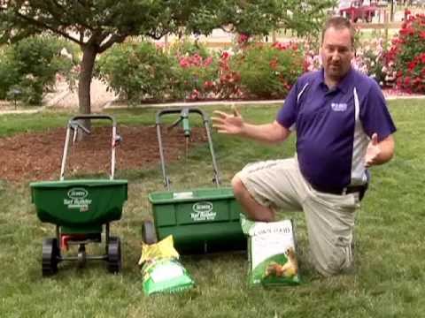 how to fertilize lawn evenly