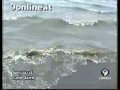 Vermi Sulle Spiagge Di Napoli Causa Del Depuratore Di Cuma.
