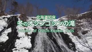 Hokkaido Oshinkosin Waterfall Winter