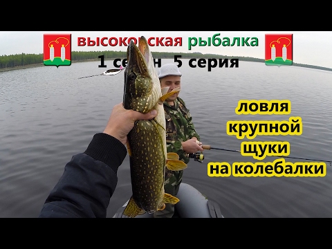 как и где ловить крупную щуку как и где ловить крупную щуку