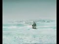 killer whale eats eskimo