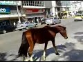 Nova Friburgo - Um passeio pelo centro