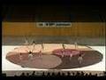 Bassett Varsity Winterguard