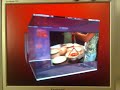 Ubuntu - Beryl - XGL - 3d Desktop