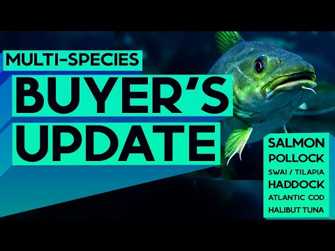 3MMI -Multi-species Buyer's Update: Salmon, Pollock, Swai, Tilapia, Haddock, Atlantic Cod, Halibut, Albacore Tuna 
