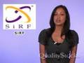 Quality Stocks Daily Video 11/19/2008