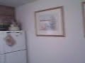 pink house3