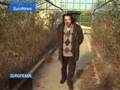 EuroNews - Europeans - Sardinians cling to wreckage of their
