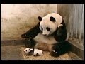please view this as much as you want, because it's nature at it's best!