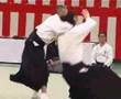 Demonstration of Hontai Yoshin-ryu jujutsu