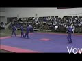 Vovinam Viet Vo Dao : Ciseau acrobatique Salto