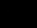 a cutscene from romance of the three kingdoms viii