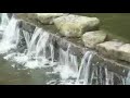 Hodges Gardens
