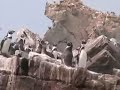 Un paraíso aún no destruido Un paraíso aún no destruido